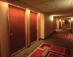Hotel Door